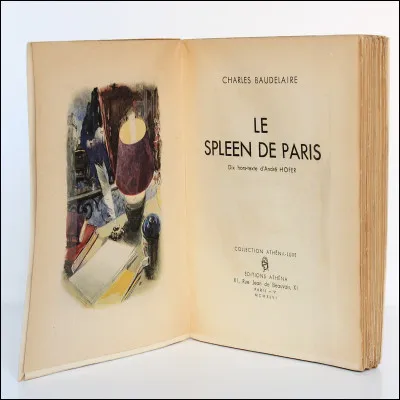 Qui a écrit "Le Spleen de Paris" ?