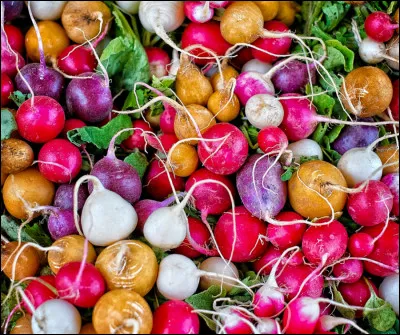 Quelle couleur préfères-tu ?