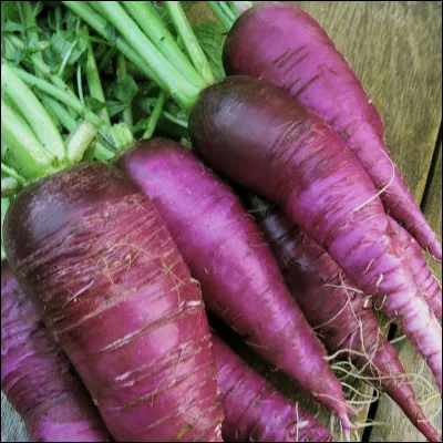 Quelle expression utilises-tu le plus ?