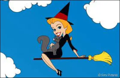 Dans la série télévisée "Ma sorcière bien-aimée", comment se prénomme le mari de Samantha ?