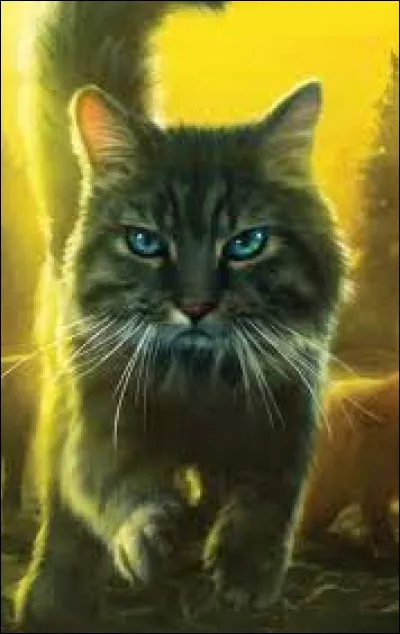 Quel était le nom de chaton de Pelage de Silex ?