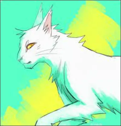 Qui est la mère de Tornade Blanche ?