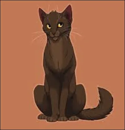 De quoi est mort Nuage de Musaraigne ?