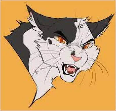 Quel est le nom anglais de Nuage Agile ?