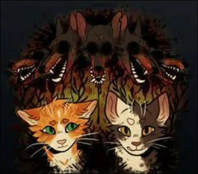 Est-ce vrai que Nuage Agile est de la même famille que Longue Plume ?