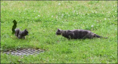 Avec qui n’a-t-il pas de lien de parenté (pas plus loin que les grands-parents, cousins et tantes) ?