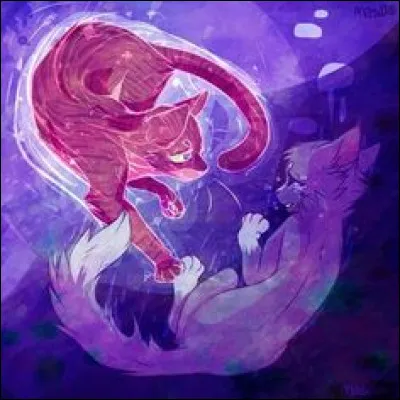 Tu es nommé mentor mais ton apprenti ne fait que louper ses proies. Quelle est ta réaction ?