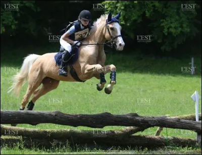 Quelle est cette discipline équestre ?