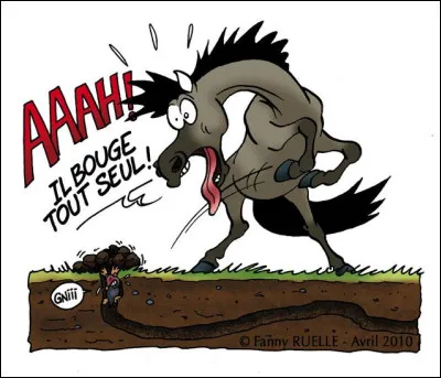 Coche parmi les réponses suivantes, les sens du poney.