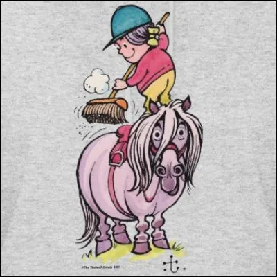 Parmi les réponses suivantes, coche les noms qui appartiennent à des noms de brosses de pansage.