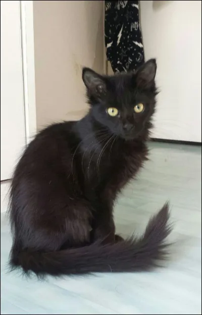 Qui nest pas de la famille de Pelage Crépu ?