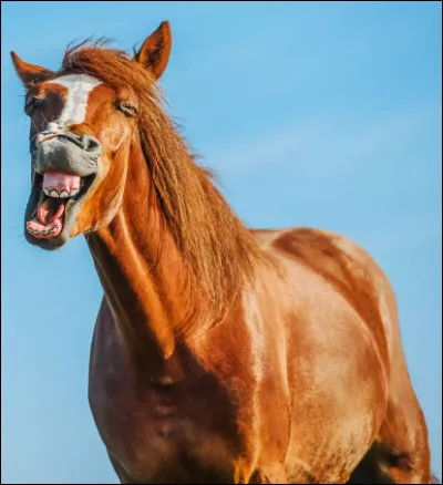 Quelle maladie n'a pas besoin de vaccination ?