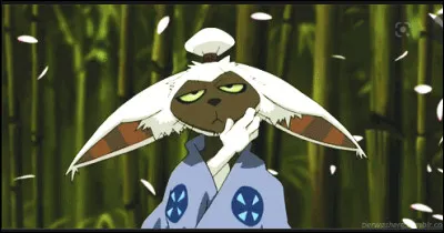 Quels sont les critères pour l'identification d'un cheval ?