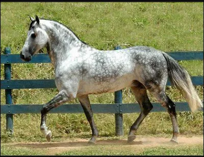 Les 6 temps pour l'obstacle sont...