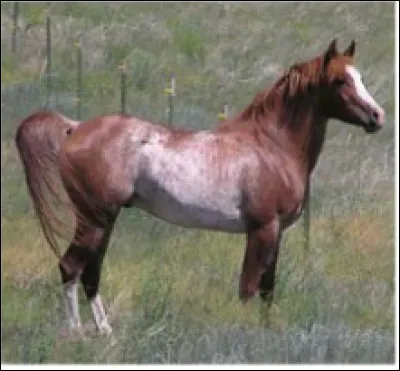 Laquelle de ces règles est fausse ?