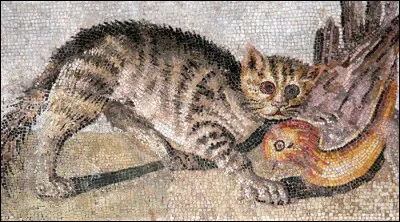 "Ces gens dont l'esprit est imbu de superstitions bizarres affronteraient les pires tortures plutôt que de porter une main sacrilège sur un ibis, sur un aspic, sur un chat..."
Cicéron

Quelle  partie du corps les égyptiens se rasaient-ils lorsqu'un chat mourrait dans l'Antiquité ?