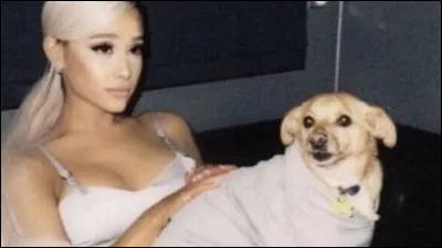 Combien a-t-elle de chiens ?