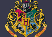 Test Dans quelle maison de ''Harry Potter'' irais-tu ?