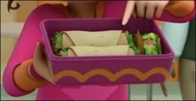 Dans quel dessin animé pouvons-nous voir ces burritos ?