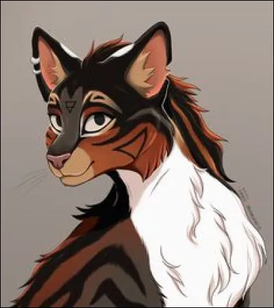 Quel est ton plus grand défaut ?