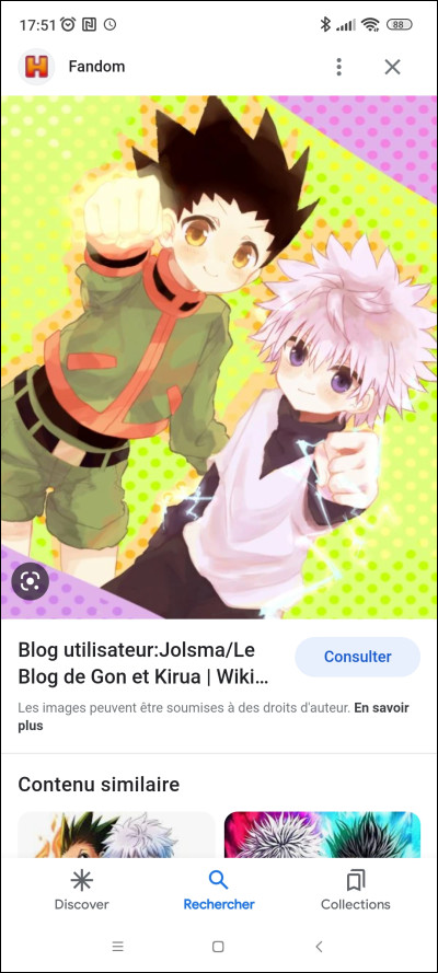 Qui est Kirua pour Gon ?