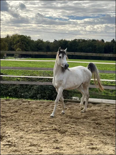 Soyons gentil, cette beaut&eacute; a une robe�