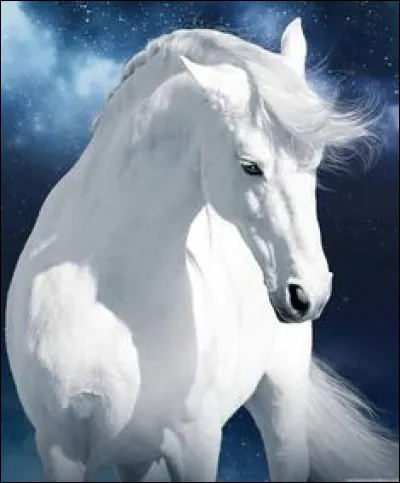 Belle image n�est-ce pas ? On y voit un cheval�