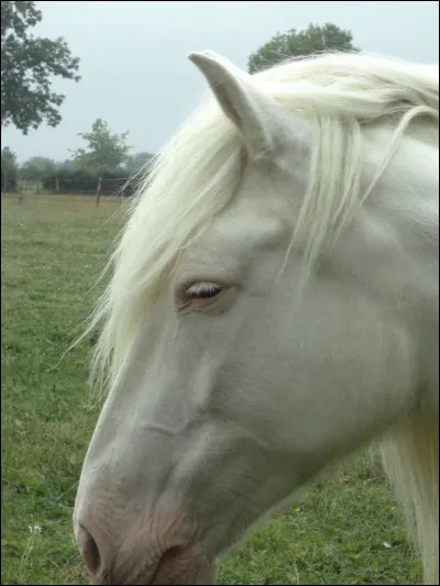 Et celui l&agrave;, il est�