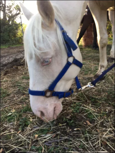 Elle est belle ma petite Early hein ? Mais quelle est sa robe ?