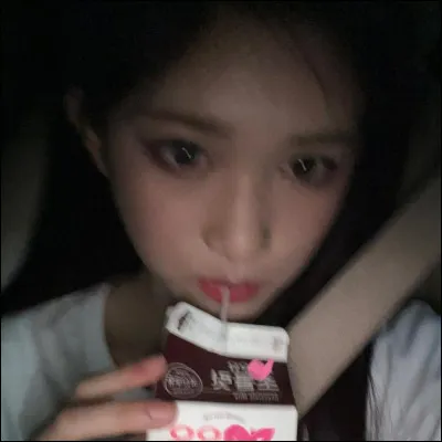 Quel est l'animal qui représente Chia ?