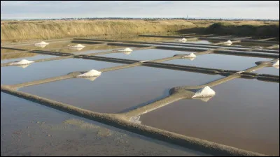 Est lunatique, c'est la...