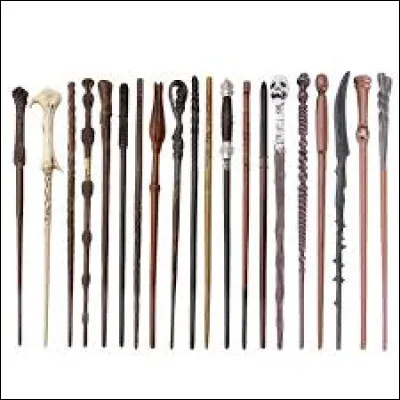 Qu'aimerais-tu avoir dans ta baguette magique ?