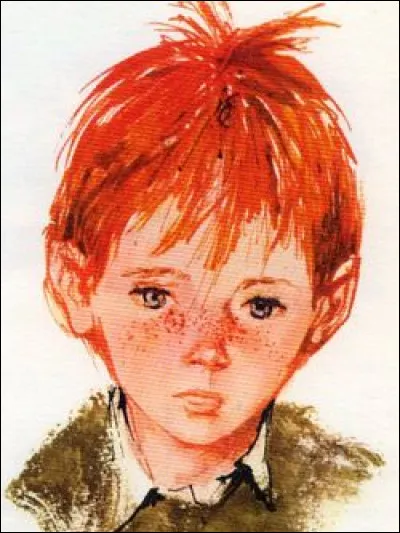 Dans le roman de Jules Renard, combien Poil de Carotte a-t-il de frères et surs ?