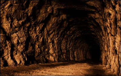 Tu préfères partager ta grotte avec...