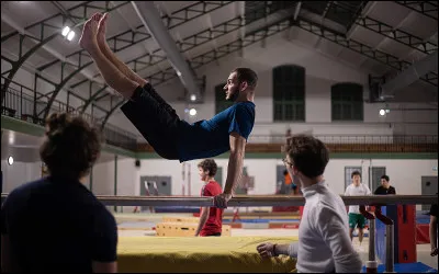 Cet agrès s'appelle :