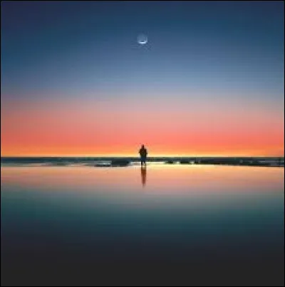 Selon des études scientifiques, il est l'animal le plus solitaire au monde.