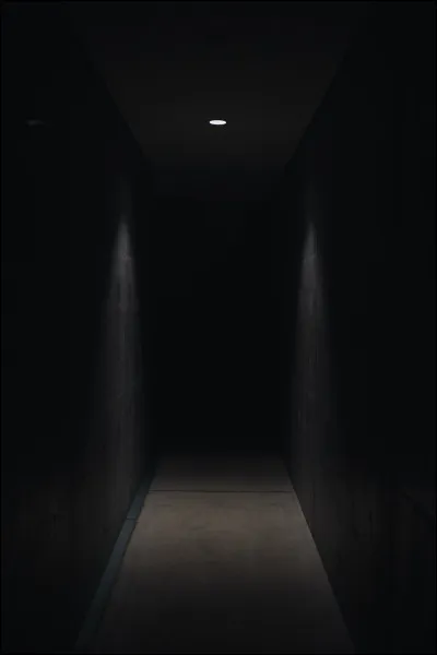 Il a une meilleure vision dans l'obscurité que l'homme.