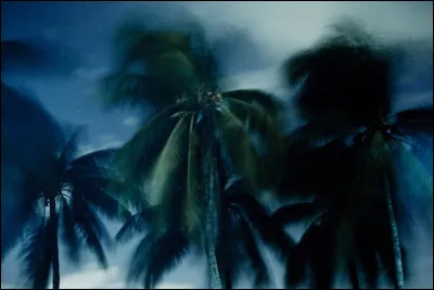 Cette oeuvre photographique de Micky Clement représente preque parfaitement une scène courte mais drôle du film... ?