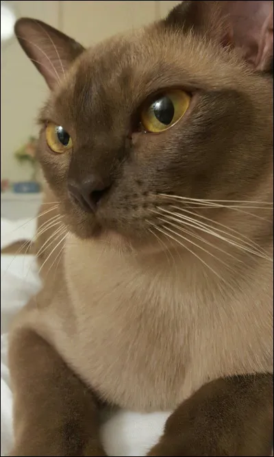 Qui est-ce celui-ci ?