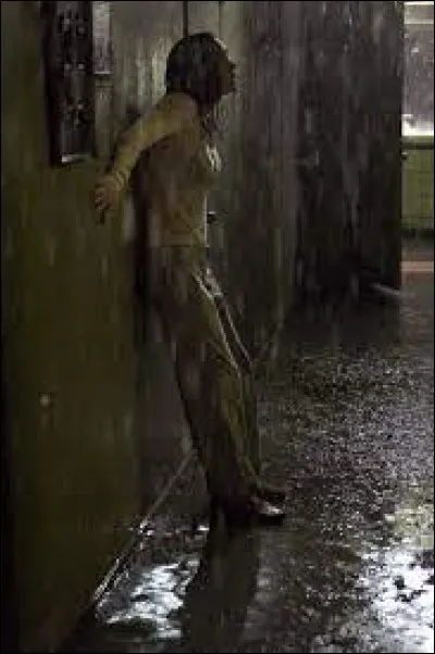 Peut-être n'aurait-elle pas dû emménager dans cet immeuble où l'eau, la pluie, envahit tout, surtout son esprit