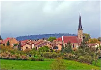 Nous partons dans le Grand-Est, à Lanfroicourt. Village de l'aire d'attraction Nancéenne, sur la rive droite de la Seille, il se situe ...