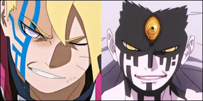 Comment s'appelle le dojutsu de Boruto ?