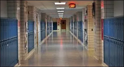 Quel est le nom de leur lycée ?