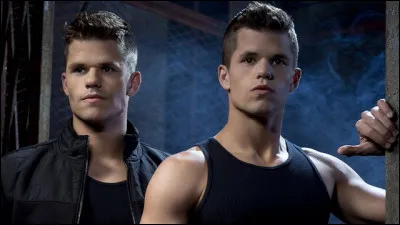 Comment s'appellent les jumeaux ?