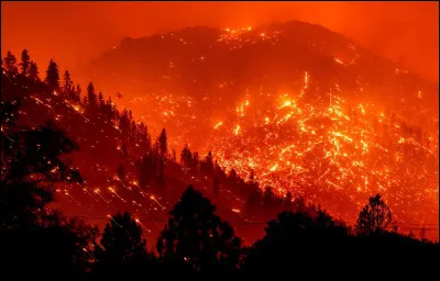 Ton clan subit une attaque d'un gang de dragons qui mettent le feu au village ; soudain ta famille est prise au piège dans une maison ! Mais de l'autre côté, deux dragonnets sont encerclés par le feu et pétrifiés de peur ! Que faire ?