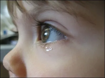 À quel Michel doit-on attribuer la chanson "Petit" ?