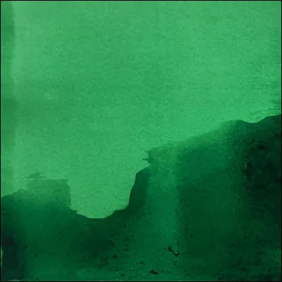 Le vert est la couleur d'un des membres ; lequel ?