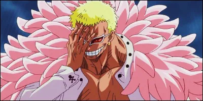 Comment se nomme ce pirate fils de dragons célestes ?