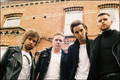 Wild Youth représente...