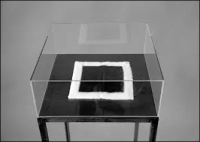 Je suis le peintre dont un des chefs-d'oeuvre est "Carré noir sur fond blanc" ?